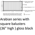 KFR Arabian Square Level Section 3' x 8' Gloss Black