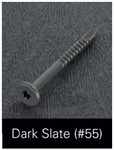 Starborn Fascia Screws Epoxy Coated 100/ct [Dark Slate]